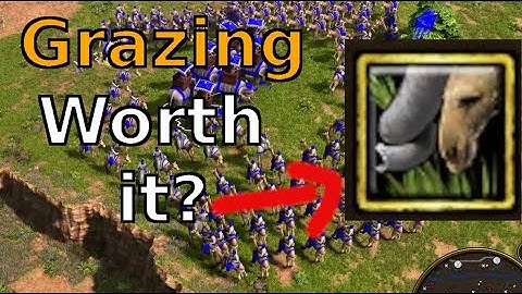 Is the Grazing Card worth it in AOE 3? In-depth Analysis!