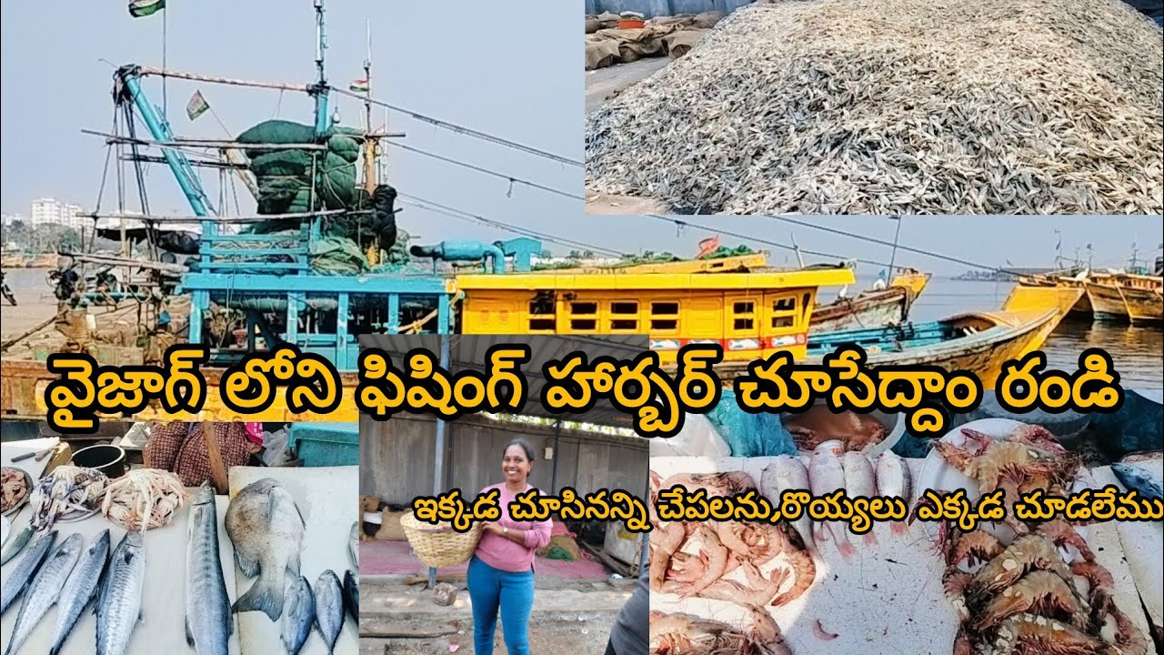 వైజాగ్ లోని ఫిషింగ్ హార్బర్ చూసేద్దాం రండి😍 