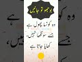 اردو پہیلیاں اور جواب دلچسپ پہیلیاں Riddles In Urdu Hindi Shorts YoutubeShorts YtShorts
