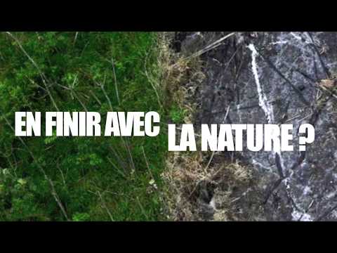 Vidéo: L'œil De L'aigle Blanc - Vue Alternative