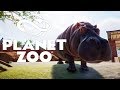 ОБЫКНОВЕННЫЙ БЕГЕМОТ #33 PLANET ZOO ПРОХОЖДЕНИЕ