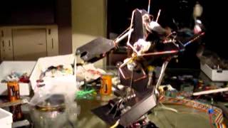 Mark Tilden's Robosapien Prototypes