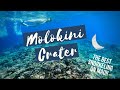 The BEST Snorkeling Trip in Hawaii: Molokini Crater & Turtle Town