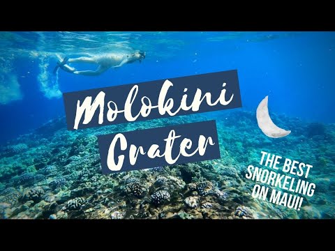 The BEST Snorkeling Trip in Hawaii: Molokini Crater & Turtle Town