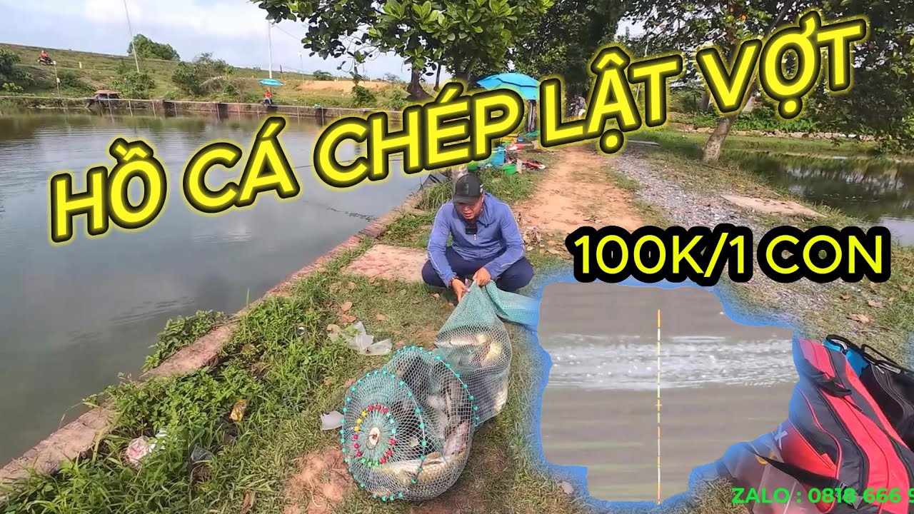 HỒ CÁ CHÉP LẬT VỢT - SIÊU CUỐN Ổ ĐÀN CÁ CHÉP - PHÚC HÀ FISHING