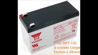 Batterie Plomb 12V 7Ah (151x65x97.5) cosses Larges Yuasa (NP7-12L