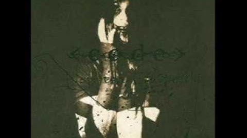 Code - Brass Dogs