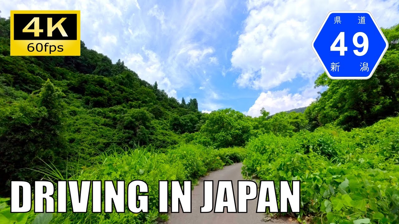 【Driving in Japan】Niigata Prefectural Route 49 : Tsunan - Tōkamachi [Insta 360 Ace Pro 2 4K60P]