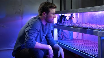 Meet the Company Growing a Farm in a Shipping Container | Fortune