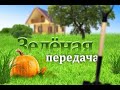 2020 03 05 Зелёная передача