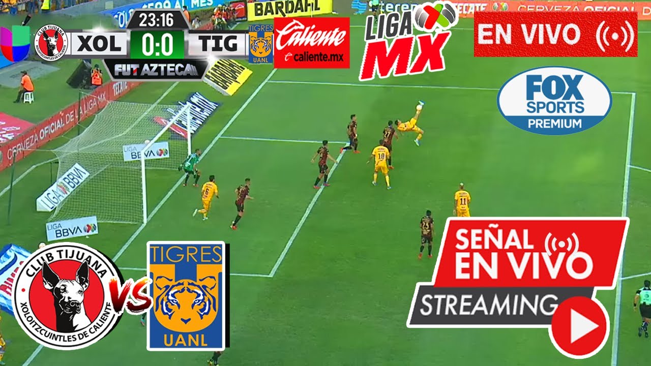 Tijuana VS Tigres 🔴 En Vivo Fox sports Tijuana VS Tigres Donde ver, Canal Fox sports YouTube