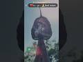 Bhaj Man Radhe Govinda song with Krishan ji leaf art #shorts #yourubeshorts #bhajan