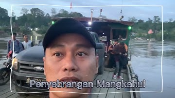 Kapal Feri Penyebrangan Mangkahui di Puruk Cahu-Murung Raya | menyebrang Sungai Barito di puruk cahu