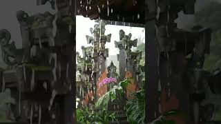 Heavy Rain Sounds in a Tranquil Balinese Garden | Deep Sleep & Calm