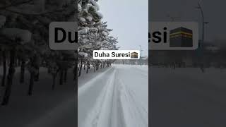 Şfet