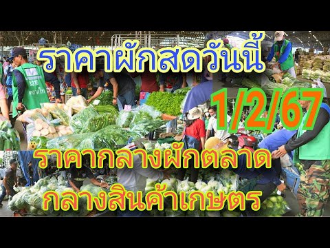 ราคาผักล่าสุดวันนี้ ราคากลางผักล่าสุดวันนี้ 1/2/67