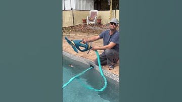 WE BOUGHT AUTO VAC FOR OUR POOL #pool #poolcleaning #shorts