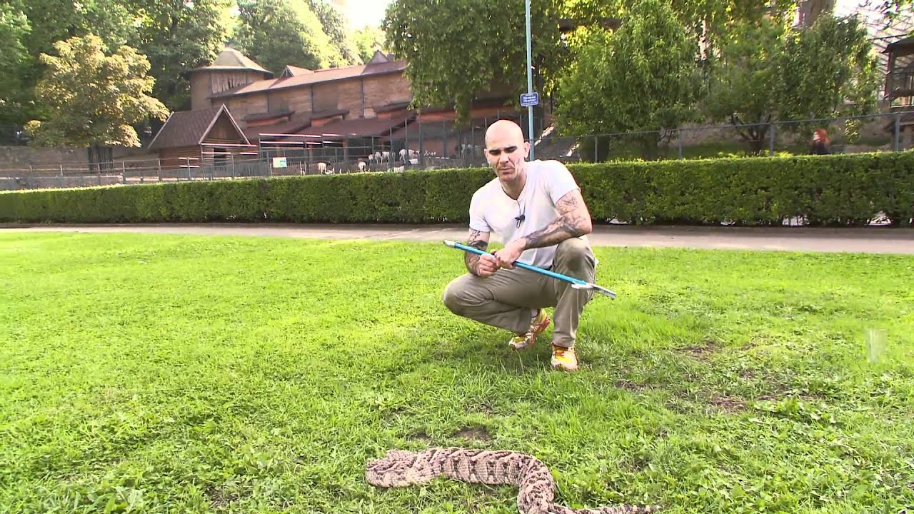 Belgrade Zoo 2011 Episode 11 Part 2