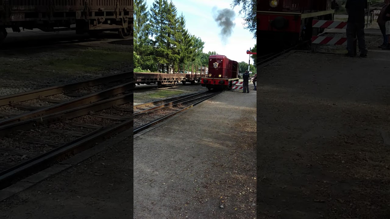 Dieselloc VSM Loenen.