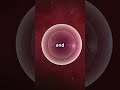 The Miracle of Life Human Reproduction in just 60seconds. #knowledgefactory #reproduction #subscribe