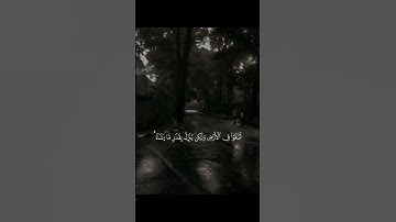 قران كريم | عبد الباسط عبد الصمد
