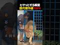 音を確認しないでください😭😭