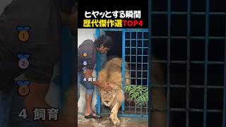 音を確認しないでください😭😭
