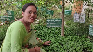 A Visit to Our Medicinal Garden (Part-01) | Medicinal Plants With Their Medicinal Importance screenshot 1