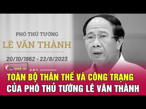 Toàn bộ thân