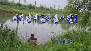아직 난 뒤돌아 설 수 없다 / 김대훈