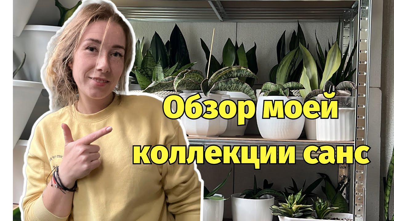 Обзор коллекции санс 💚 2.часть 