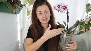 :           