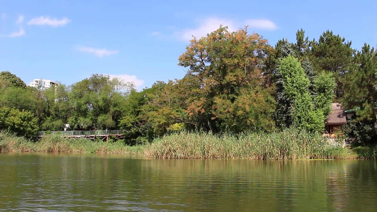 Долина роз Кишинев. Парк роз Кишинев. Парк Долина роз Молдавия. Молдова Кишинев Долина роз.