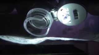 How Do I Look At Trichomes On Cannabis Plants - Review Video - Jewelers Loupe
