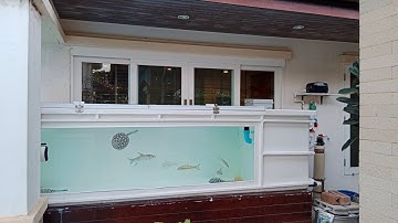 Win บางบอน 3 (ที่บ้านบางขุนเทียน) : งานล้างอ่าง 100 + ขโมยปลากลับ + ปรับปรุงงานท่อทำให้หล่อๆ Set 3