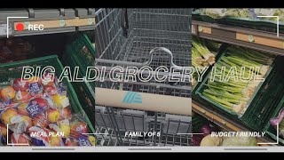 ALDI BIG GROCERY HAUL | UK FAMILY OF 5 | BUDGET FRIENDLY | UNDER £100 screenshot 2