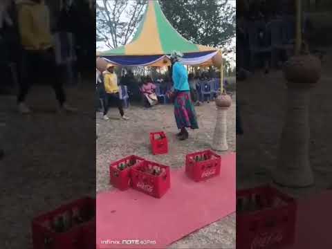 What The Hell Is Freddy Doing