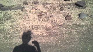 MOV 0328