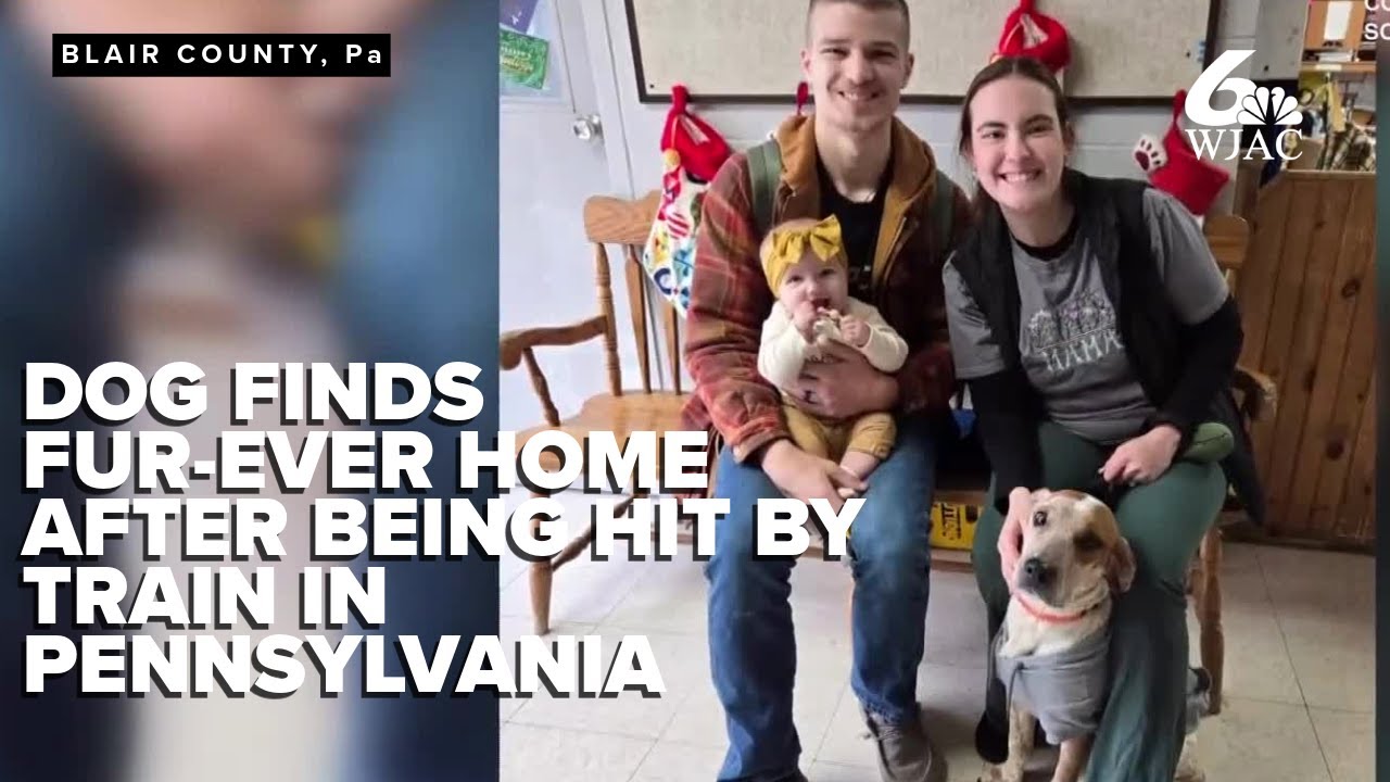 Dog found injured on Pennsylvania train tracks finds forever home, gets new name
