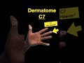 Testing Dermatomes, Myotomes and DTRs #shorts  (Part B)