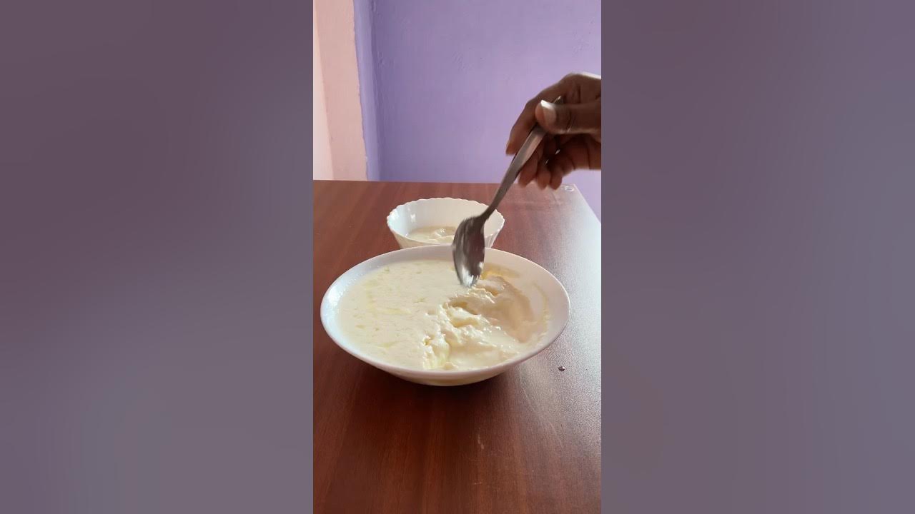 Home made curd how to make curd at home perfectly 😱curd 