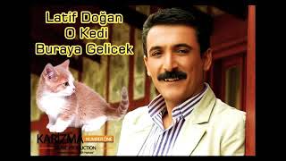 Latif Doğan ''O KEDİ BURAYA GELECEK''