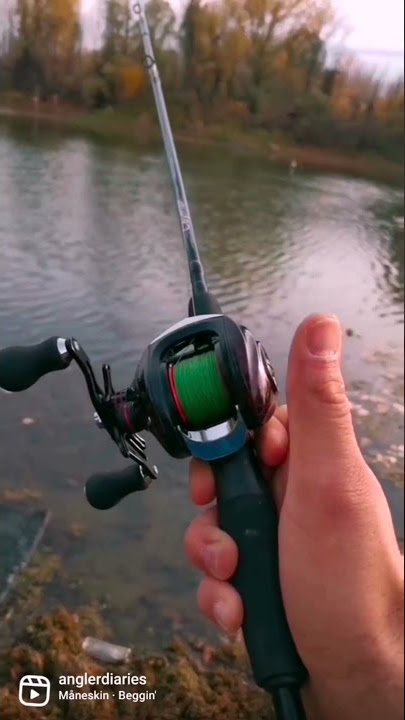 #maneskin #amazing #instagram #shorts #reels #video #bassfishing #largemouthbass #morninglikethis 👍