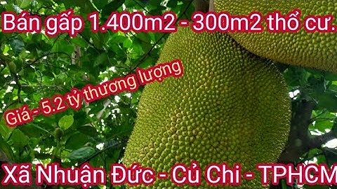 Bán 1.400m2 - 300m2 thổ cư - tường xây chắc chắn - xã Nhuận Đức Đức huyện Củ Chi TPHCM giá 5.2 tỷ