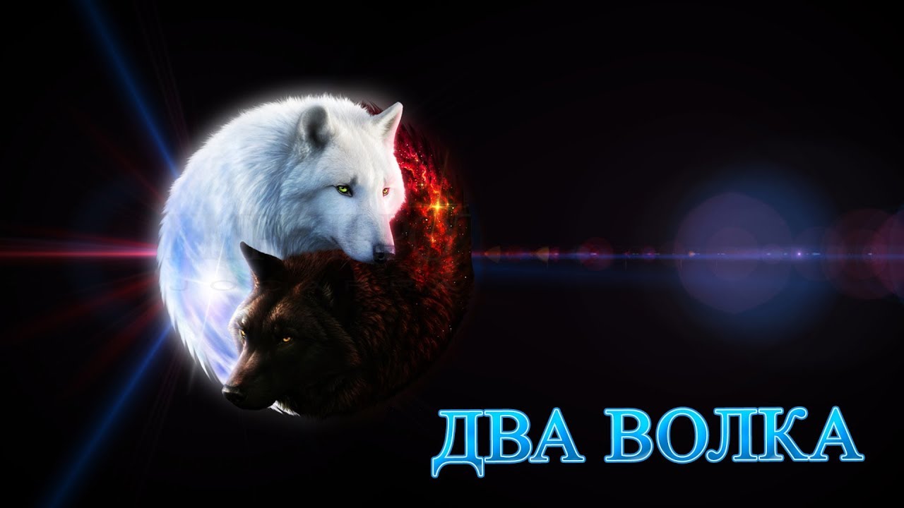 Притча о двух волках видео. Притча о двух волках видео. Притча о двух волках видео. Индейская притча о двух волках. Притча о двух волках.