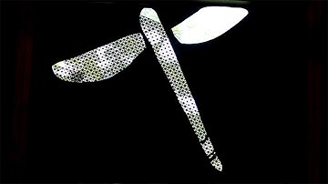 Roman Dane - Dragonfly (Official Music Video)