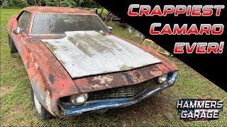 We RESCUE a really bad 1969 Camaro! [New Project]