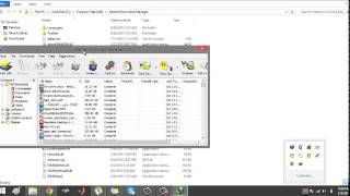 How To Add Crack File For Idm