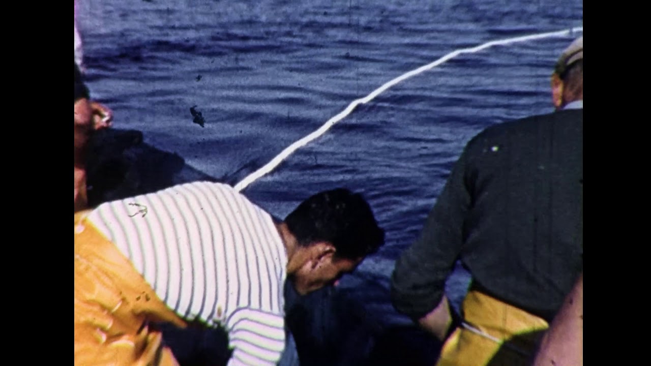 video phone beyonce mp3 Deep sea fishing Brittany 1959