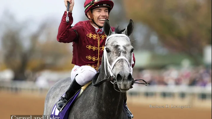 2022 - A Photographic Look Back, by DRF's Barbara ...